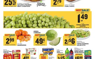 Food Lion Weekly Ad (5/13/26 - 5/19/26)